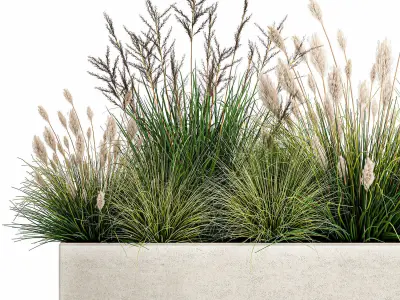 Potted reeds for landscaping 1076 3D model