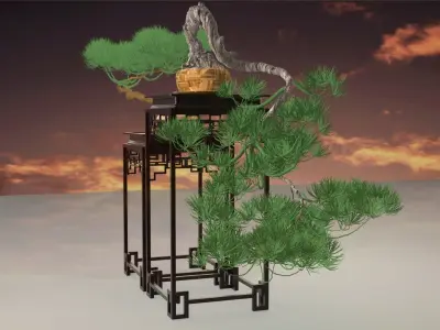 Chinese potted plant 3D model