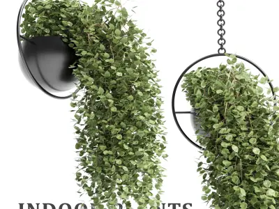 Indoor plants hanging pot 01 Low-poly 3D model