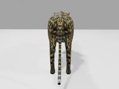 Jaguar - Ounce - Onca Pintada Low-poly 3D model