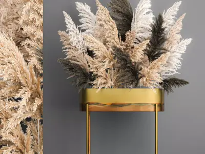 Decorative Bouquet of dried pampas grass 189 3D model