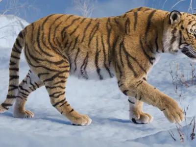 Tiger Rigged Animated 3D model
