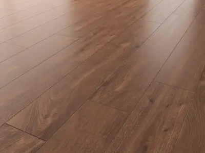 Wood floor Oak XVII century Brushed 3D model