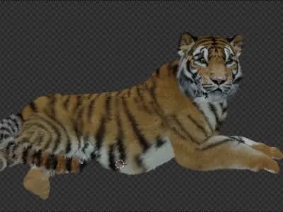 Tiger  Low-poly 3D model