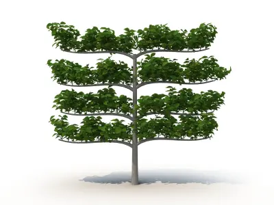 Decorative branch tree 3D model