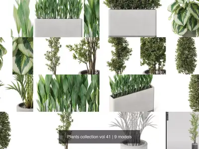 Plants collection vol 41