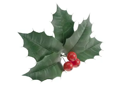 Christmas decorations 3D Model Collection