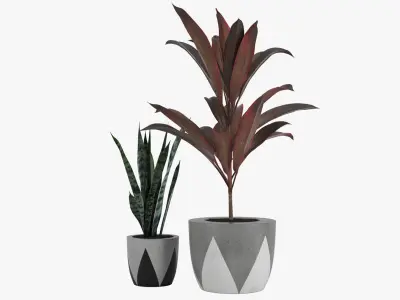 Pot Plant 23 3D model