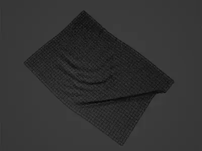 Brown Carpet 3D model