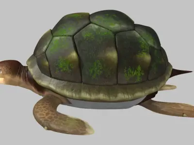 Turtle 3D model