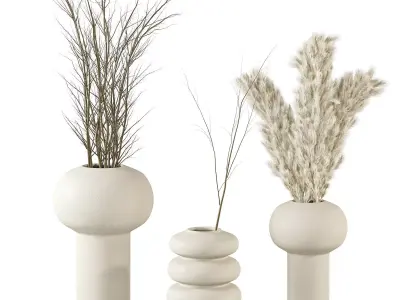 Dry plant set  3D model