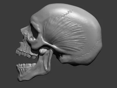 skull gold pendant 3D print model