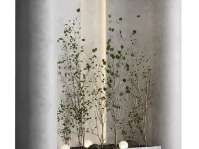 Plants garden - indoor plant 341 Low-poly 3D model