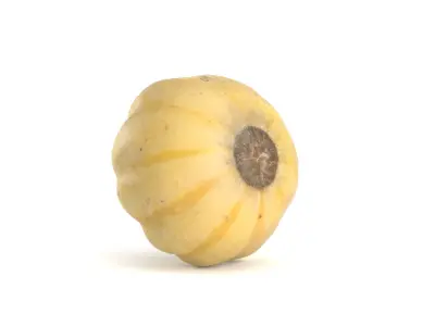 Decorative Pumpkin Gourd 1 3D model