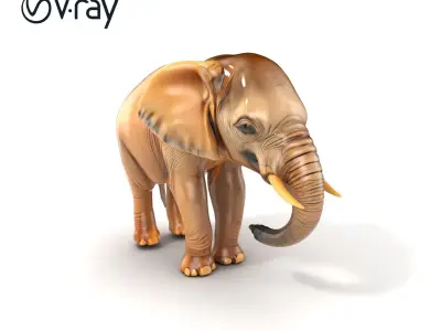 Playful Juvenile Elephant Model Pack Low-poly 3D model