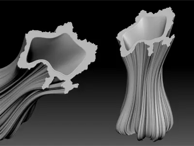 Vase of Freedom  3D print model