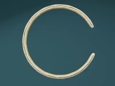 Golden Bangle  Low-poly 3D model