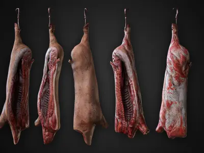 Carcasses Low-poly 3D model