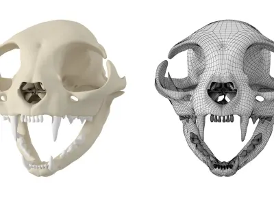 Cat Skull 3D model