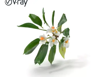 Modern Copper Ceiling Fixture Model Pack Low-poly 3D model