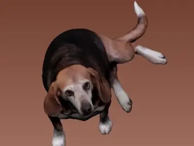 Beagle-3 dog sitting - model 1 Low-poly 3d scan animal 3D model