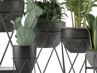 Plants Collection 27 3D model