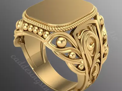 Ring bi111 3D print model
