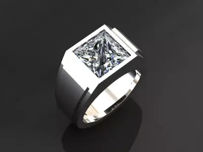 prince ring 3D print model