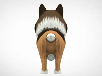 Rough Collie 3D model
