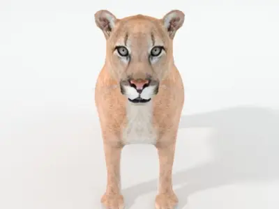 Cougar panther Low-poly 3D model