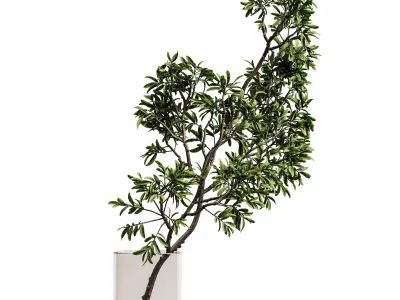 plants bouquet vase 59 3D model