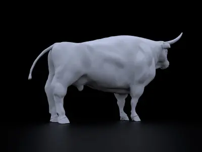 Bull High detail 3D model