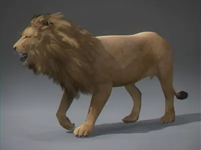 Lion 3D 3D model