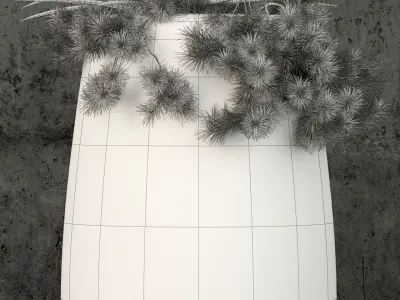 Plants collection 57 3D model