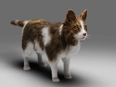 Fur Cat Calico V03 Rigged Low-poly 3D model