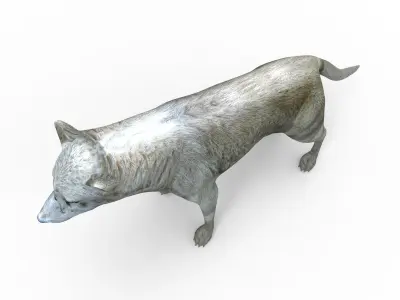 White Fox rigged 3D Models  Low-poly 3D model