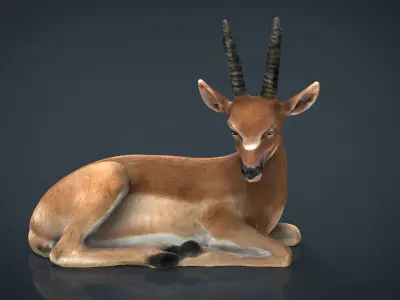 African Antelope Low-poly 3D model