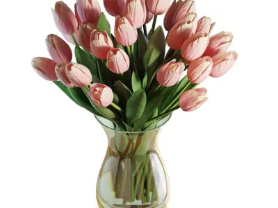 Flower Set 18 - Pink Tulips Bouquet 3D model
