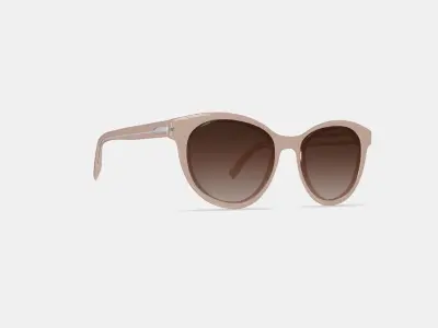 Raina Sunglasses in Elderflower Crystal Low-poly 3D model