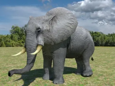 African Elephant Low-poly 3D model