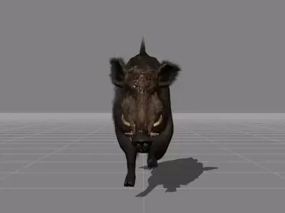 piggy Boar v1 Low-poly 3D model