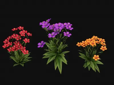 Flowers R11 3D model
