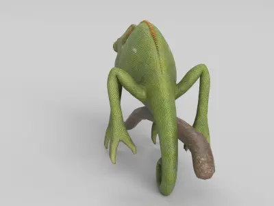 Chameleon 3D model
