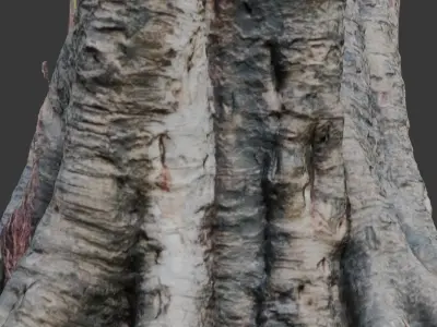 Ancient Tree Stump with Roots scan Low-poly 3D model