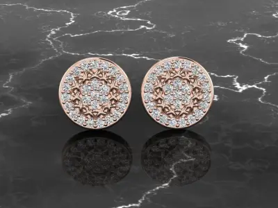 Earring Jewelry 3D print model