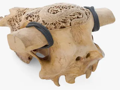 Cow Skull with Dragon Carved 3D 3D model
