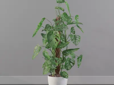 Monstera monkey mask 3D model