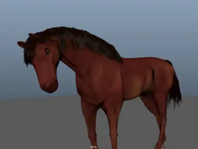 Animated Horse 3D model