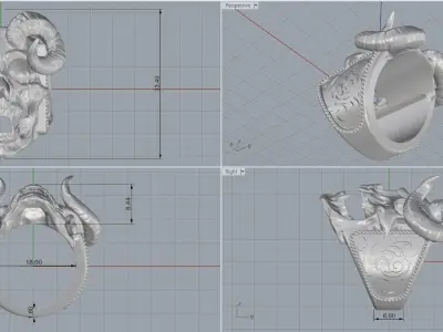 skull ring 3D print model