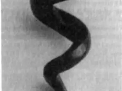 Viktor Schaubergers Original Whorl Pipe  3D print model